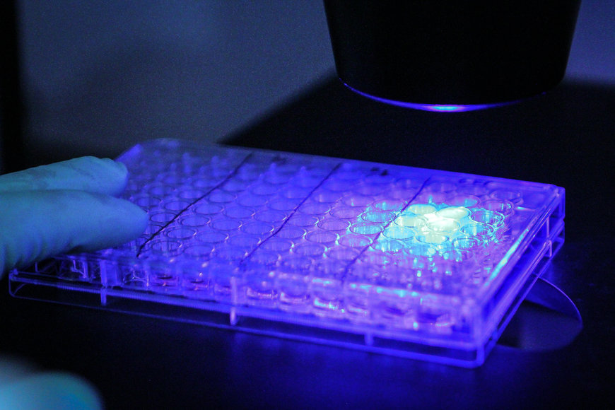 生物医学成像:机器视觉摄像头技术规格选择及计算方法指南